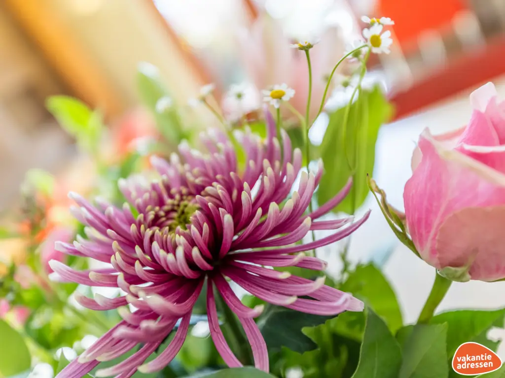 Vakantieadressen accommodatie afbeelding