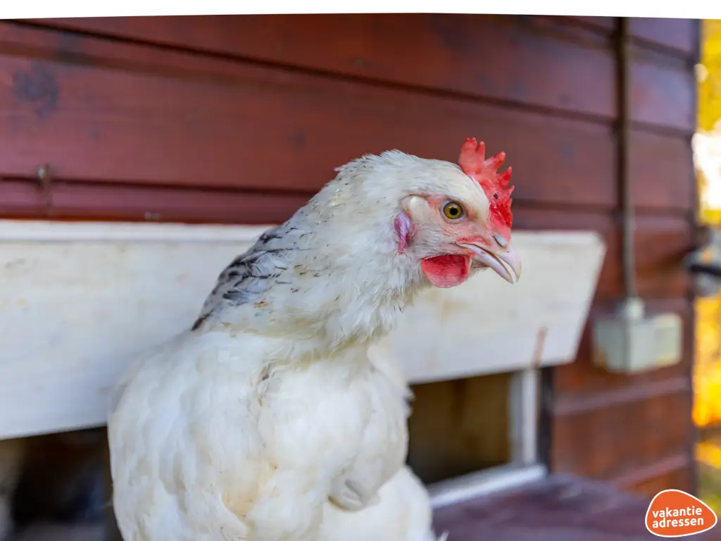 Vakantieadressen accommodatie afbeelding