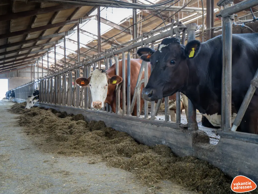 Vakantieadressen accommodatie afbeelding