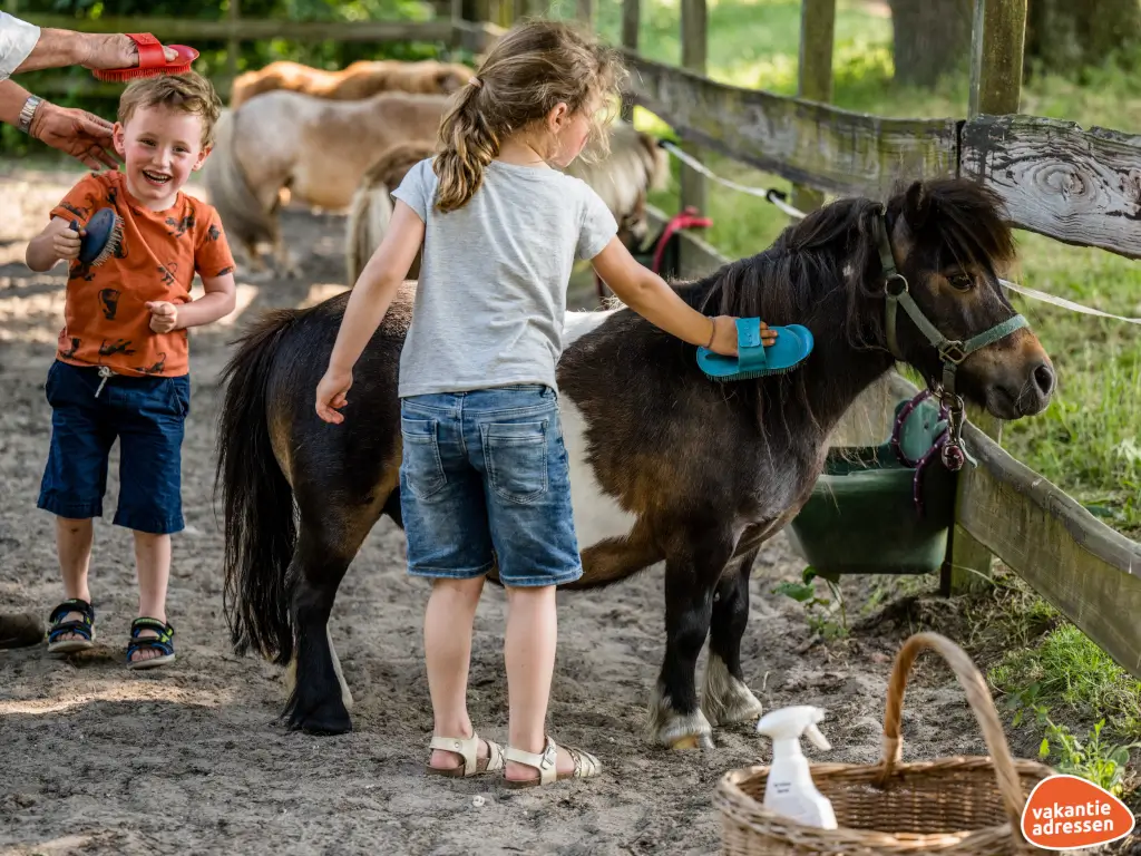 Vakantieadressen accommodatie afbeelding