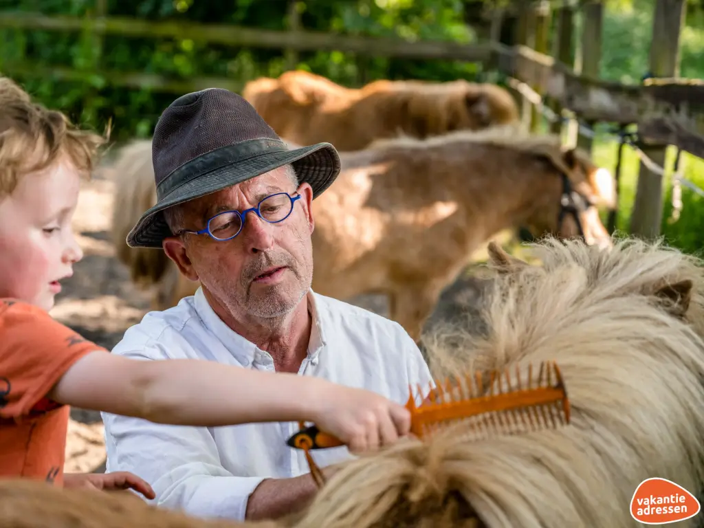 Vakantieadressen accommodatie afbeelding