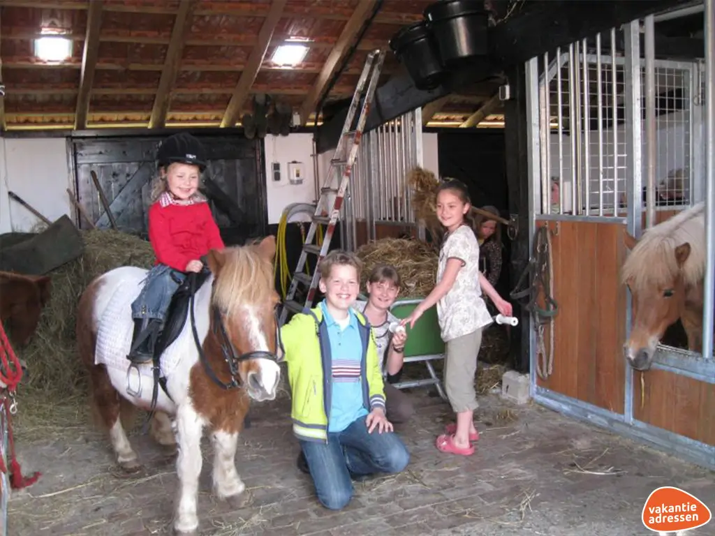 Vakantieadressen accommodatie afbeelding