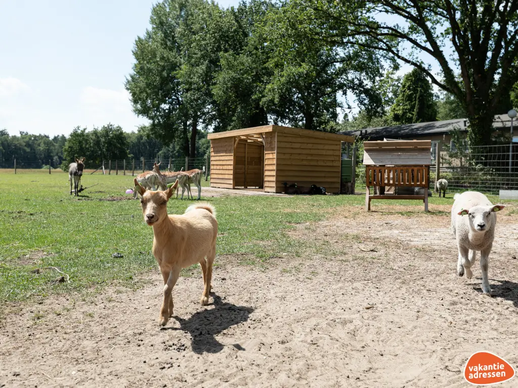 Vakantieadressen accommodatie afbeelding