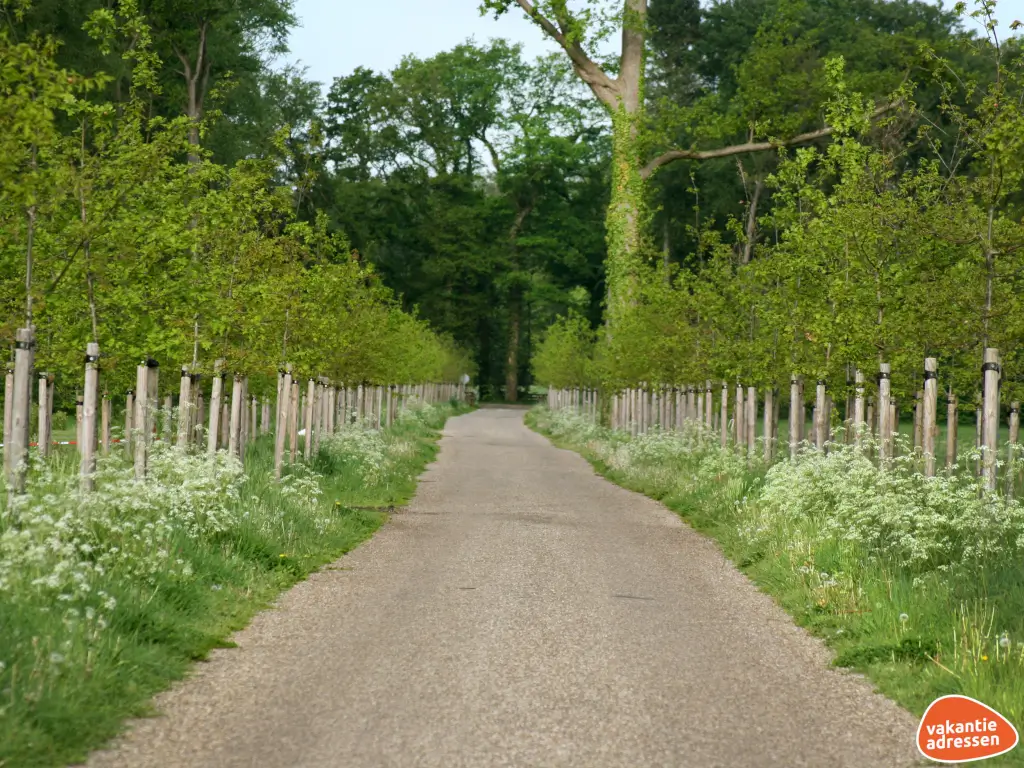 Vakantieadressen accommodatie afbeelding