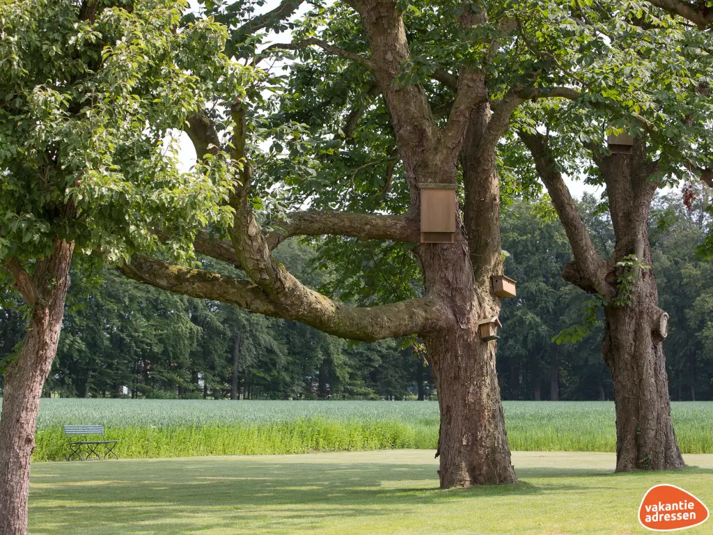 Vakantieadressen accommodatie afbeelding