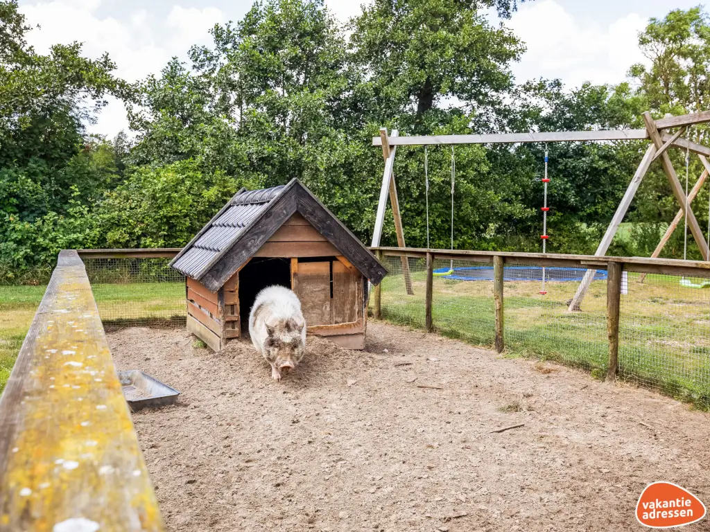 Vakantieadressen accommodatie afbeelding