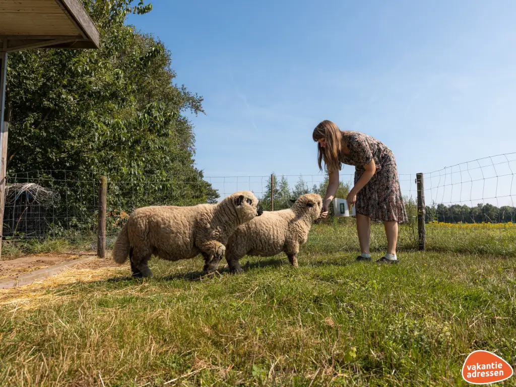 Vakantieadressen accommodatie afbeelding