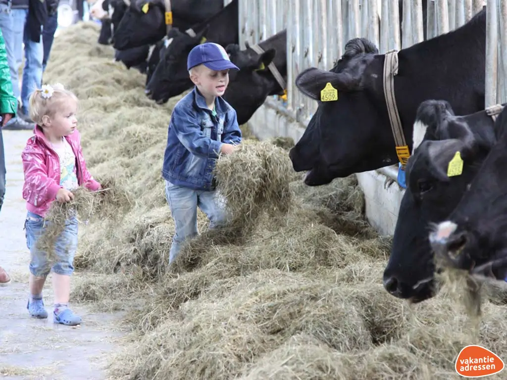 Vakantieadressen accommodatie afbeelding