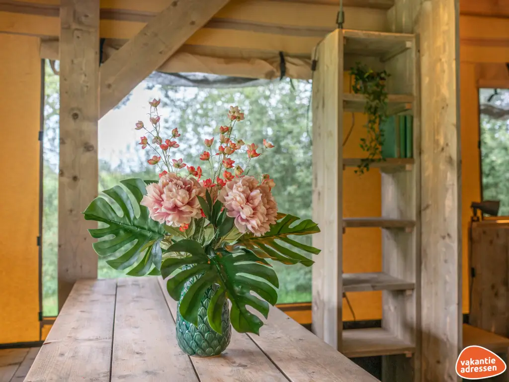 Vakantieadressen accommodatie afbeelding