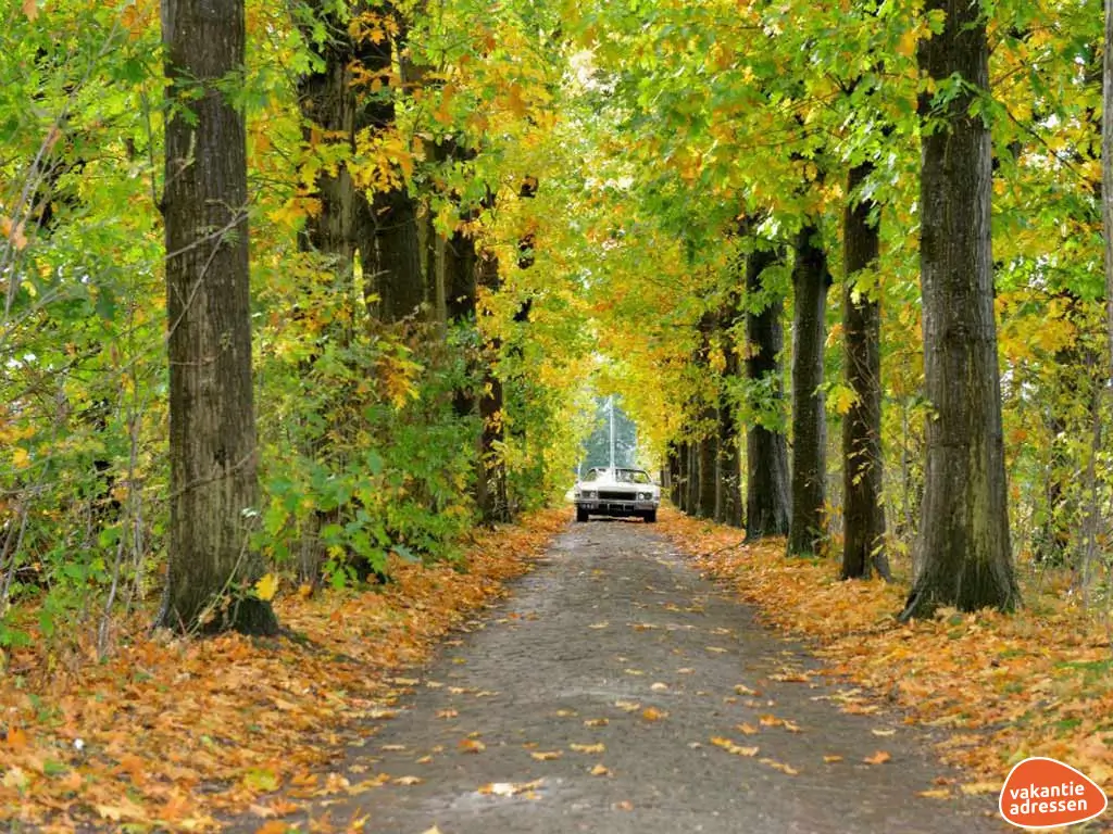 Vakantieadressen accommodatie afbeelding