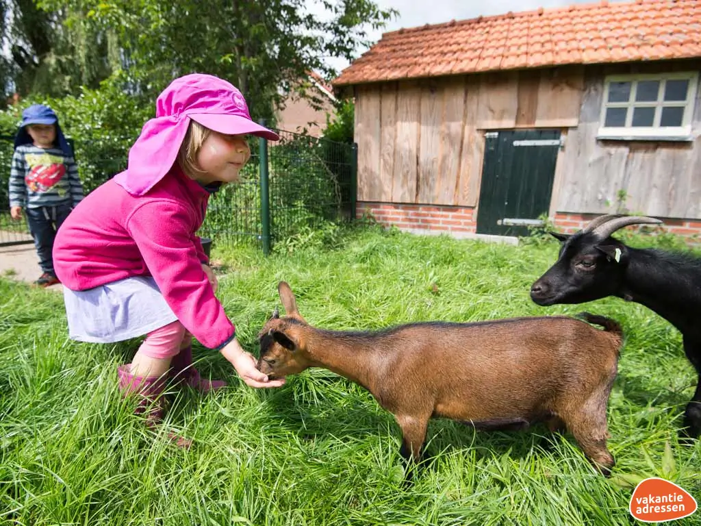 Vakantieadressen accommodatie afbeelding